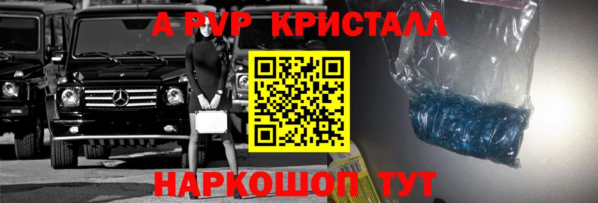 Alfa_PVP  Вход с VPN  Грозный  Альфа ПВП СК КРИС  A PVP крисы CK 