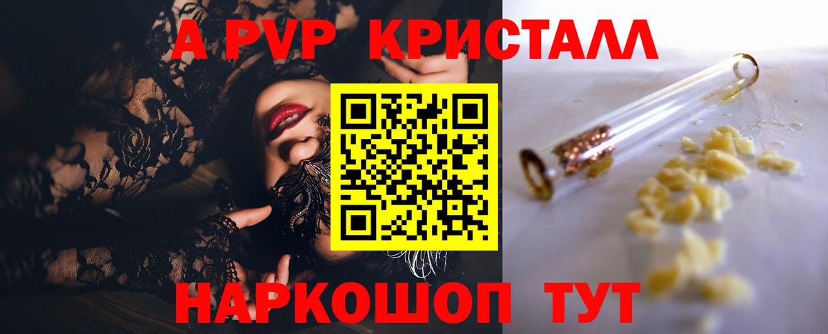 Alfa_PVP СК Грозный