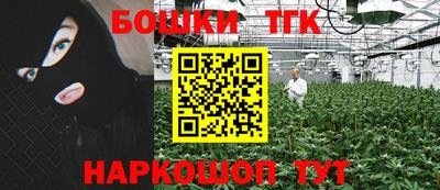 молекула духа Лесосибирск