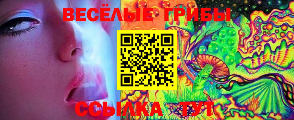 Галлюциногенные грибы MAGIC MUSHROOMS  Вход с VPN  Псилоцибиновые грибы MAGIC MUSHROOMS  Грозный 