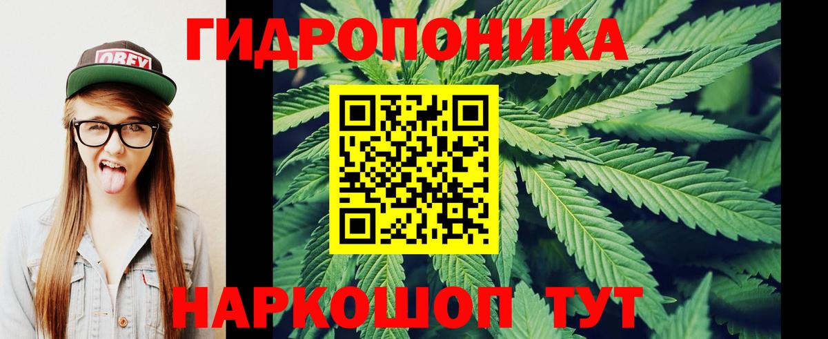 Каннабис план Грозный